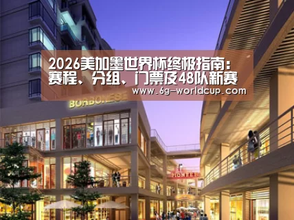案例展示一(图1)