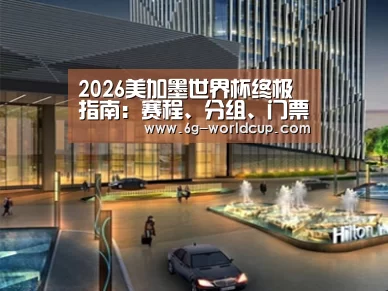 案例展示二(图1)