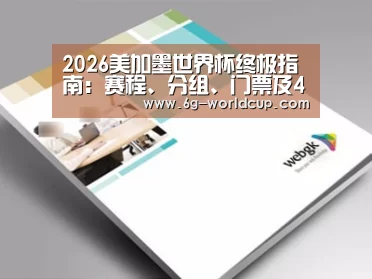 项目名称九