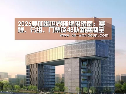 案例展示四